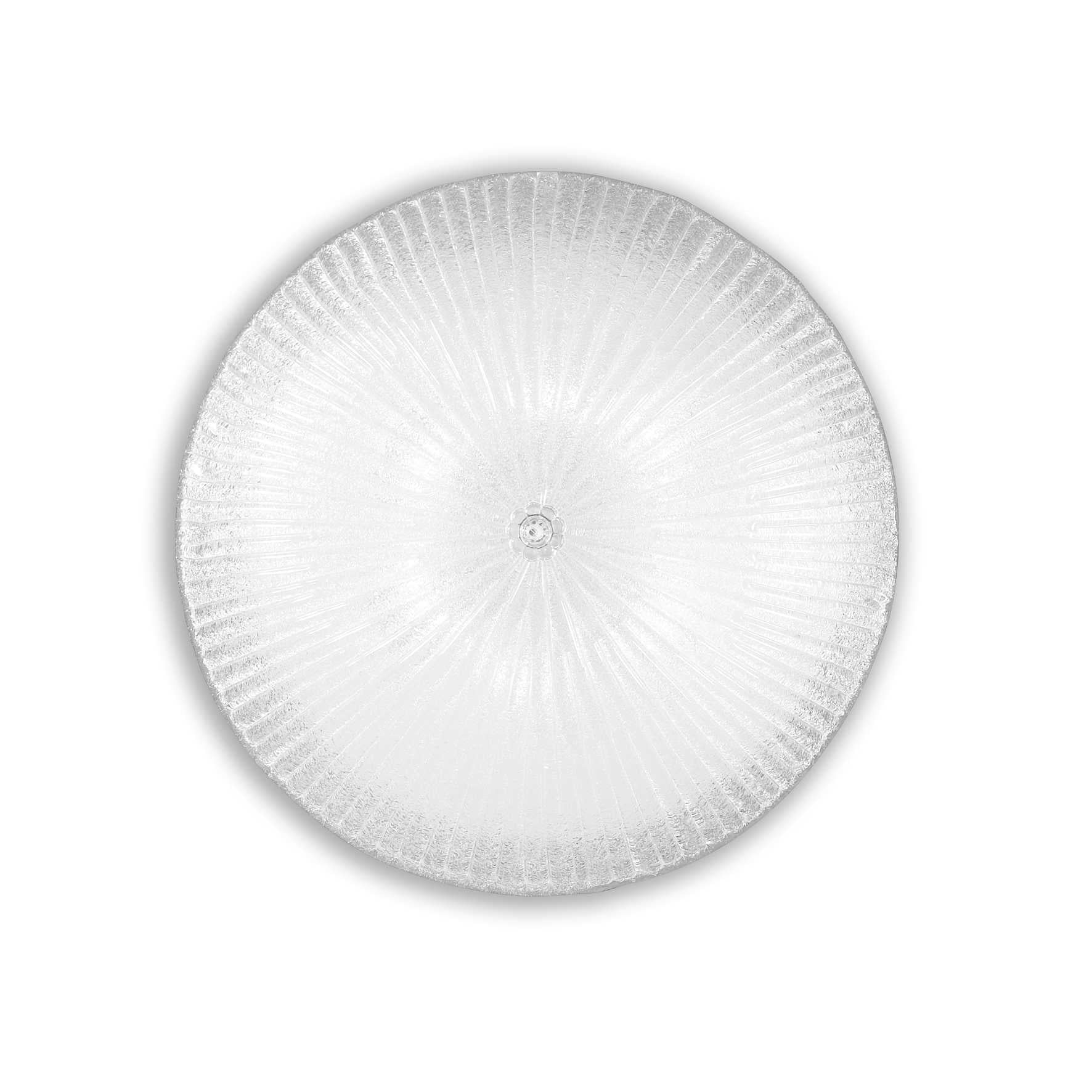 Shell 6 Bulb Surface Spotlight Transparent