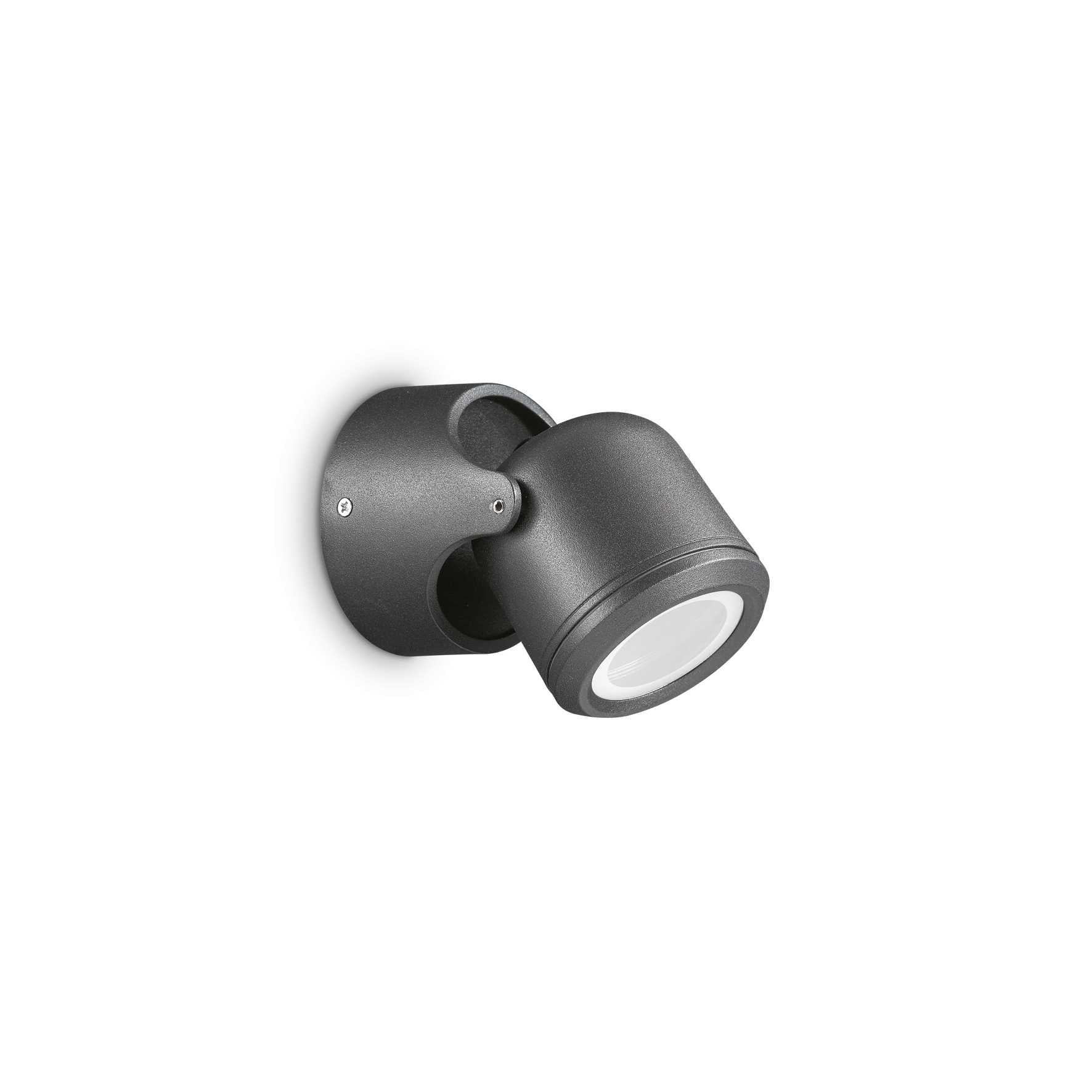 Zeno Single Spotlight Wall Light Adjustable, Black