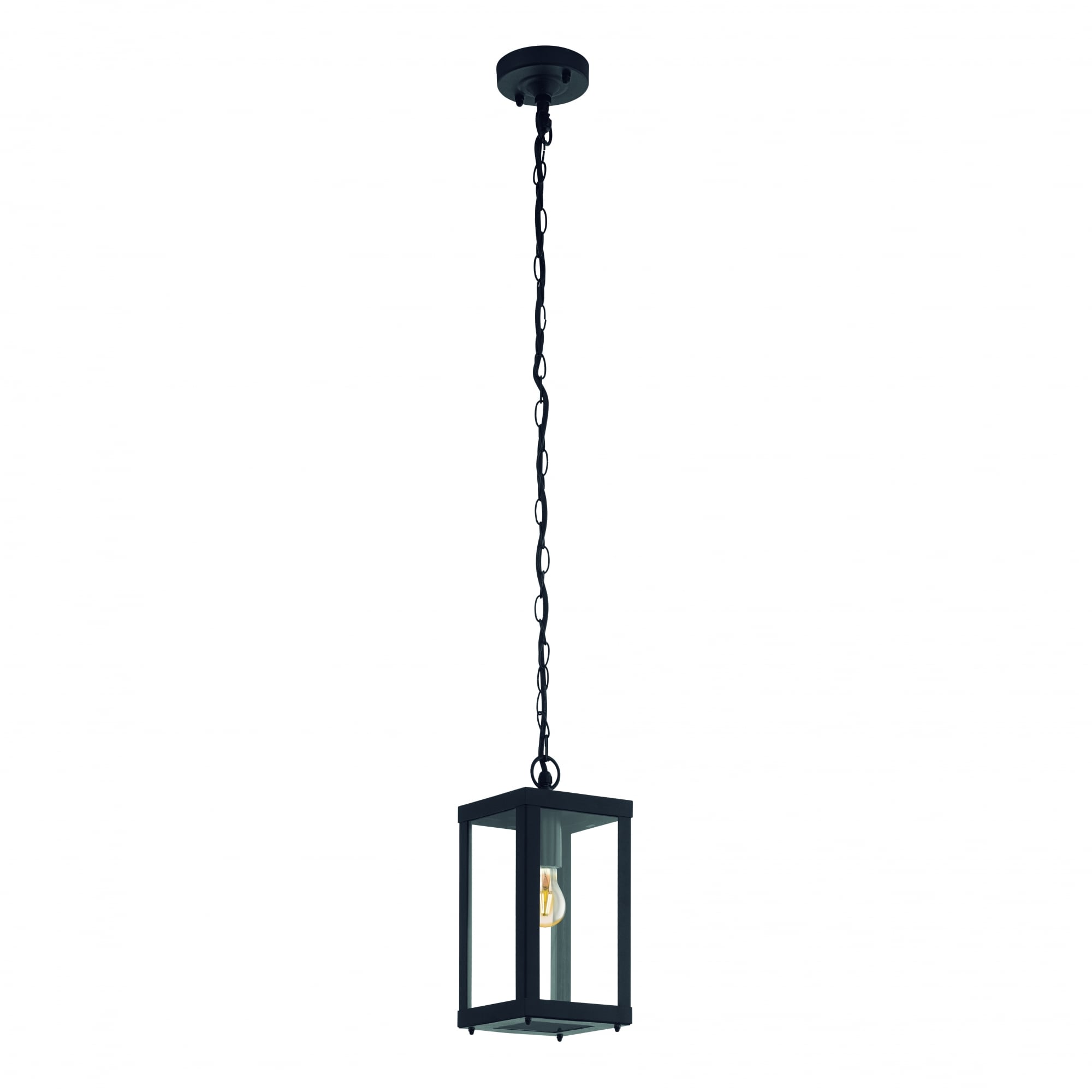 Alamonte1 1 Light IP44 Pendant Black