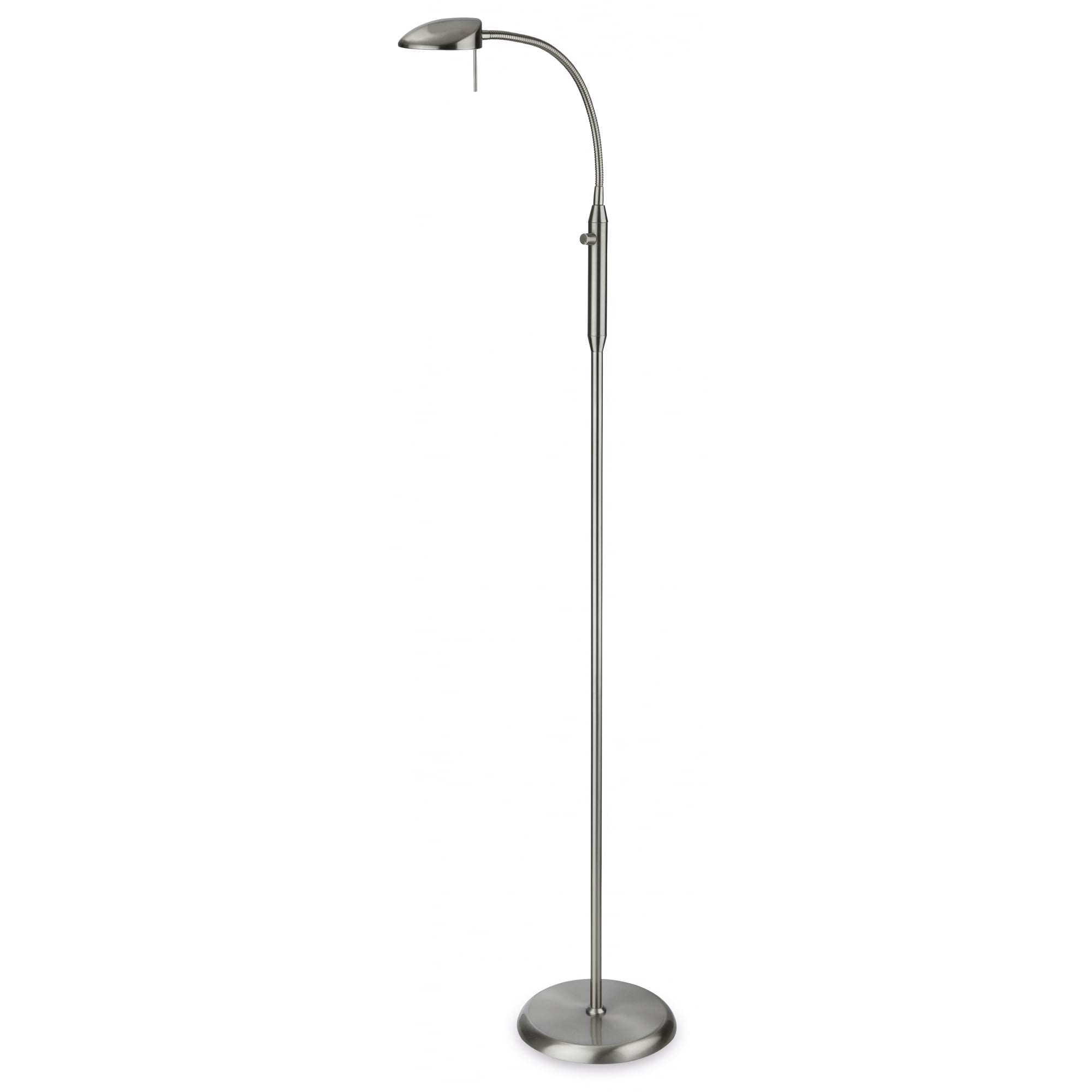 Curved LED Floor Lamp
