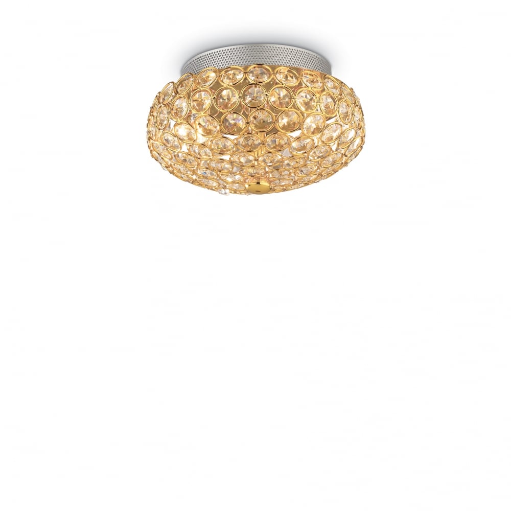 King 3 Bulb Surface Spotlight Gold