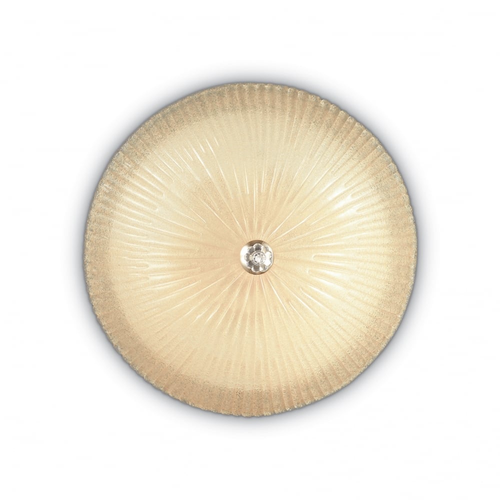 Shell 6 Bulb Surface Spotlight Ambra