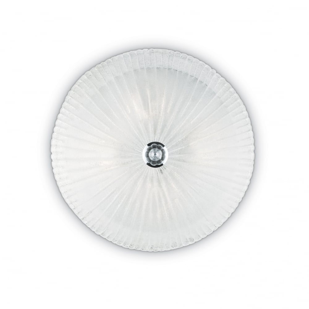 Shell 6 Bulb Surface Spotlight Transparent