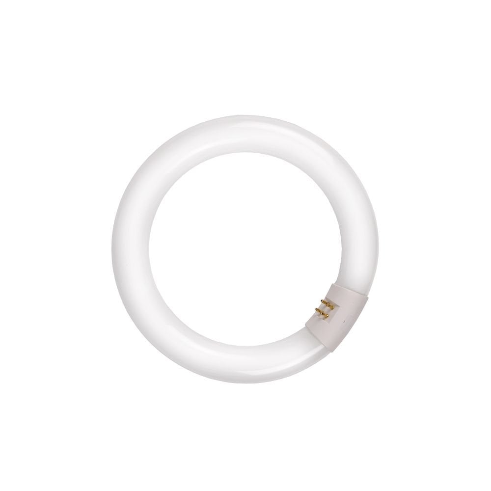 T8 Circline 22W Cool White Circular Tube