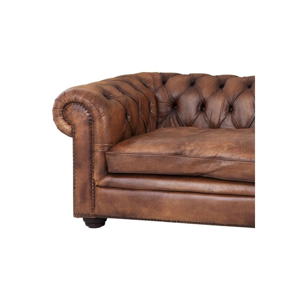 Club Sofa Gymnasium, Tobacco Leather, Brown Feet