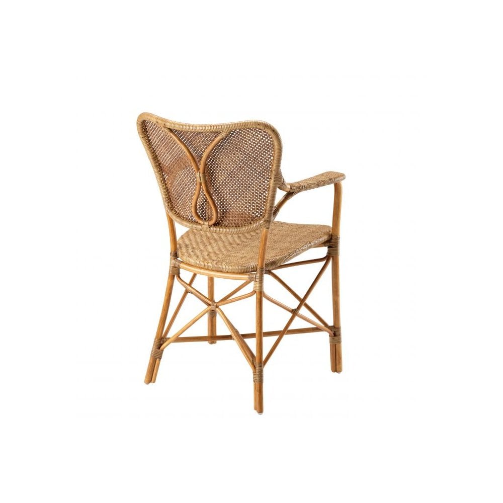 Chair Colony with arm, Rattan, Honey Finish