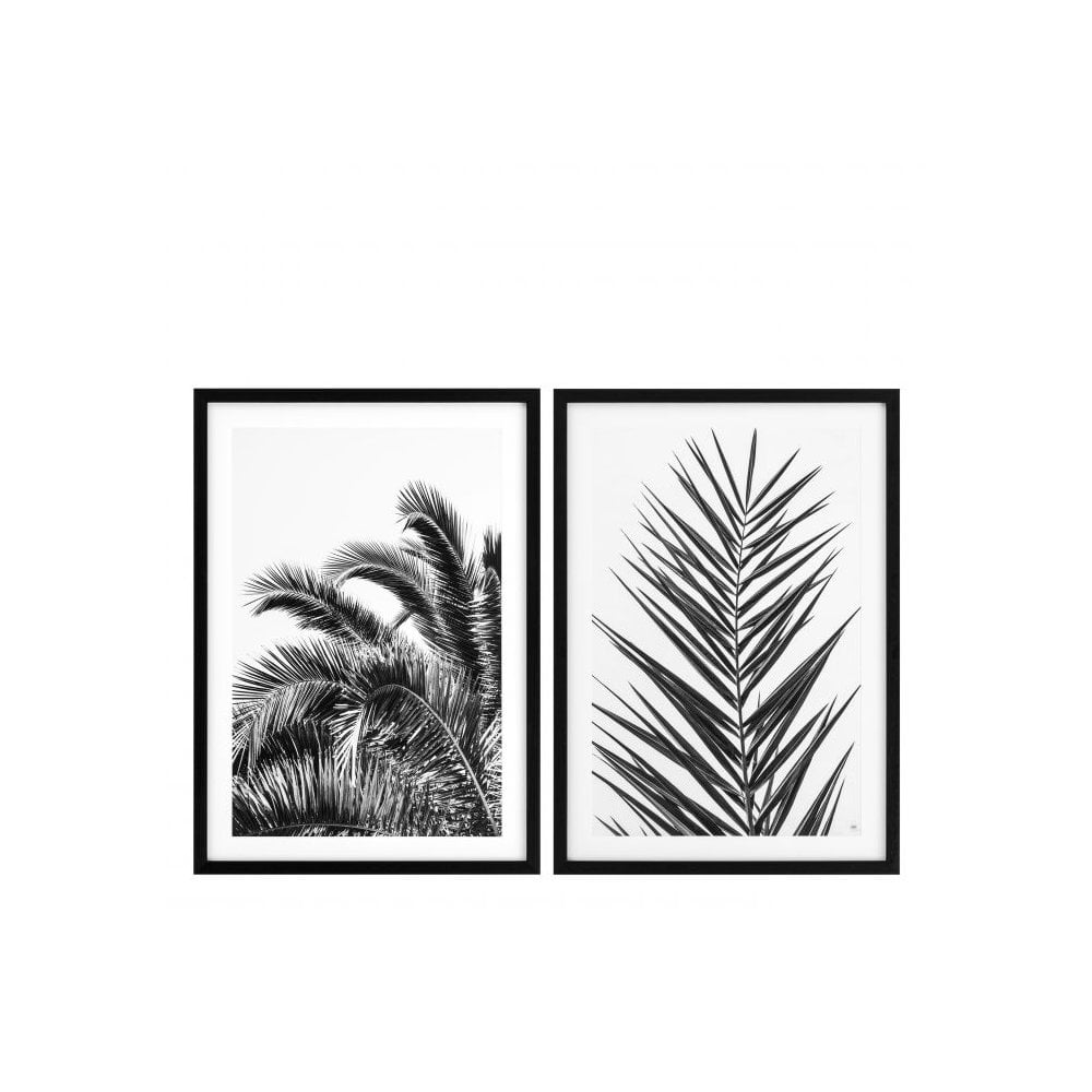 Prints Palm Leaves set of 2, Black Wooden Frame, Clear Glass