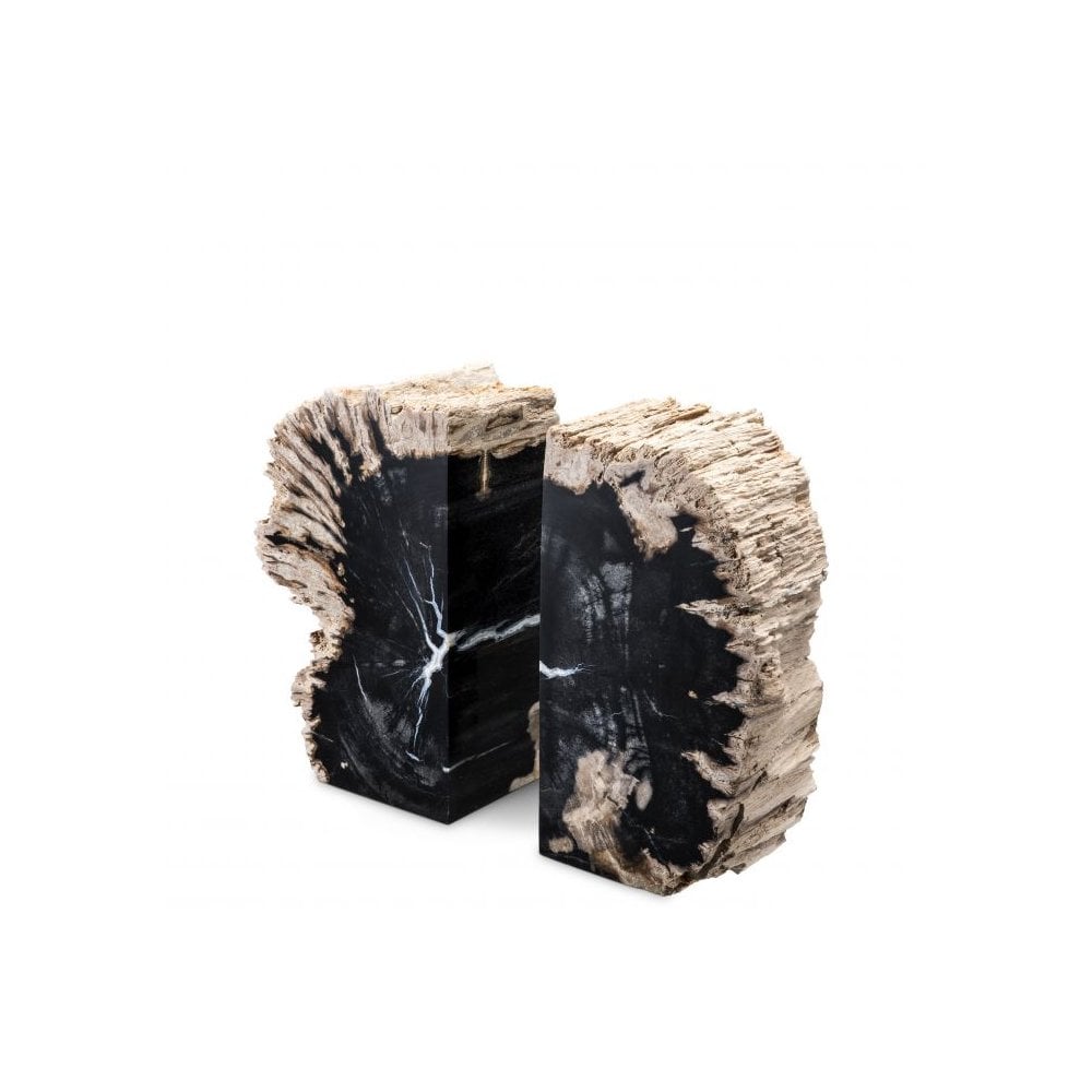 Bookend Opia, Petrified Wood