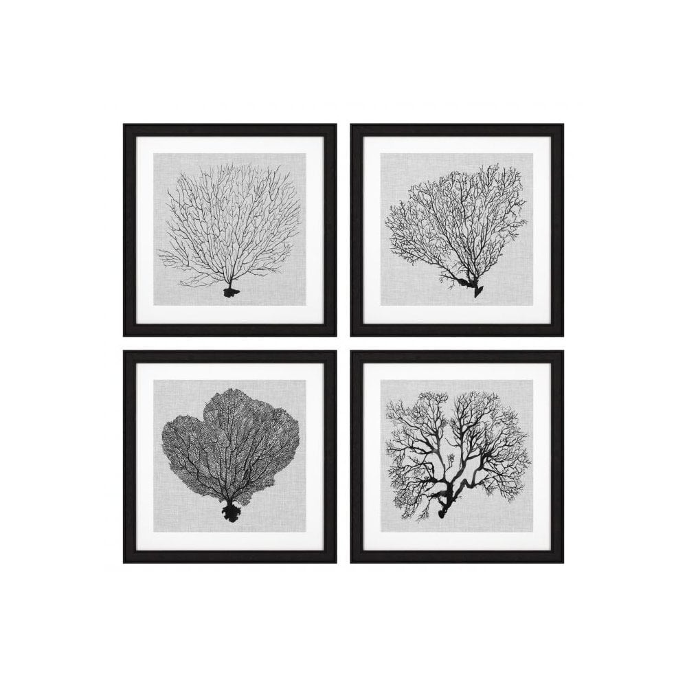 Prints Shadow Sea Fans set of 4, Black Wooden Frame, Clear Glass