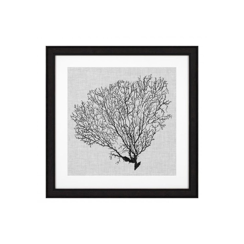 Prints Shadow Sea Fans set of 4, Black Wooden Frame, Clear Glass