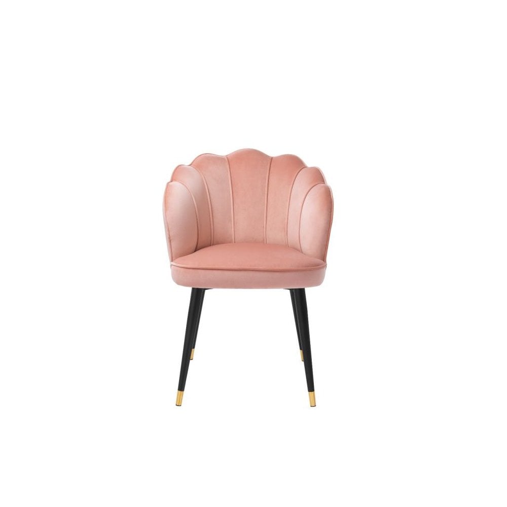 Dining Chair Bristol, Savona Nude Velvet, Black & Brass Legs