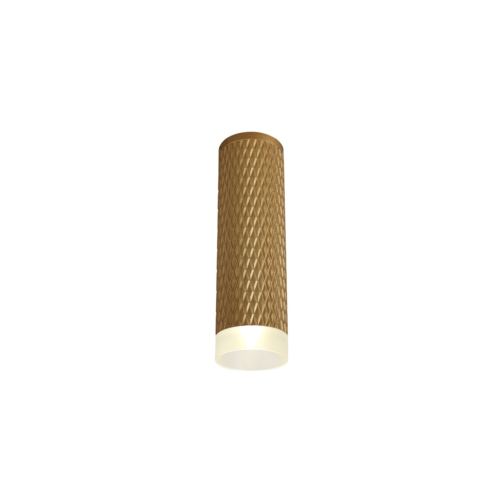 1 Light 20cm Surface Mounted Ceiling GU10, Champagne Gold/Acrylic Ring