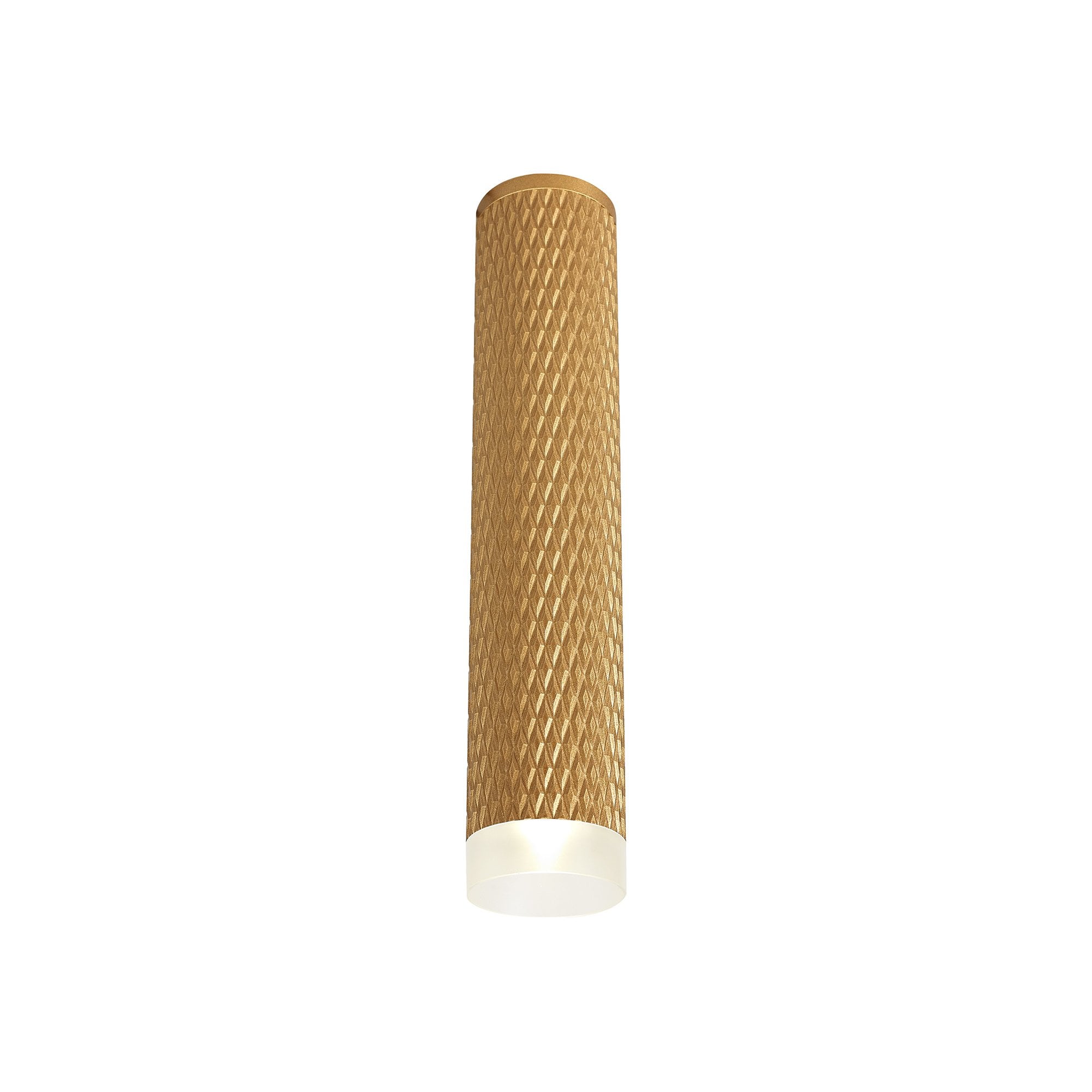 1 Light 30cm Surface Mounted Ceiling GU10, Champagne Gold/Acrylic Ring