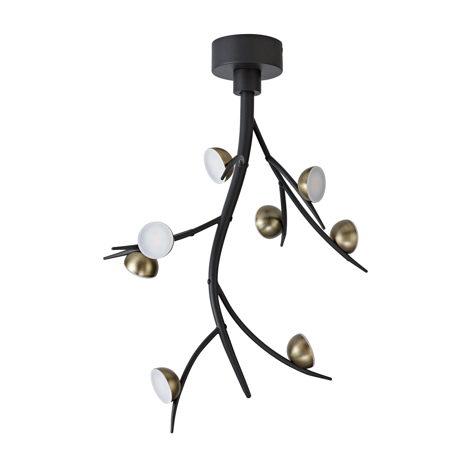 8 Light Ceiling Pendant, 8 x 3W LED, 3000K, 1320lm, Black/Antique Brass, 3yrs Warranty