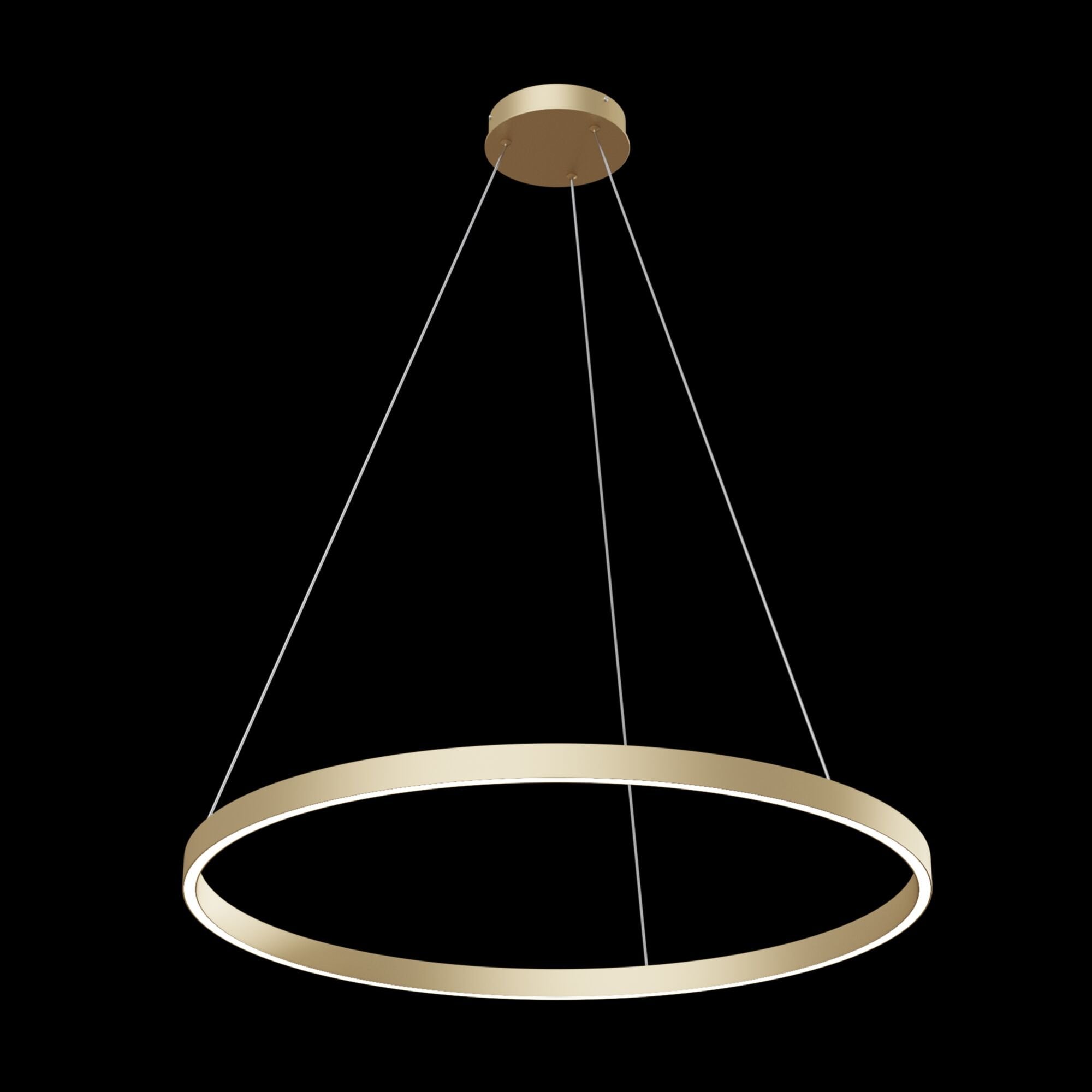 Technical Rim Brass Pendant Lamp