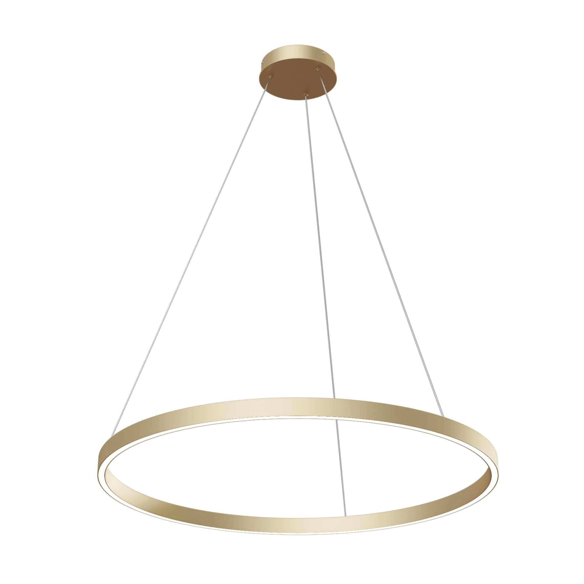 Technical Rim Brass Pendant Lamp