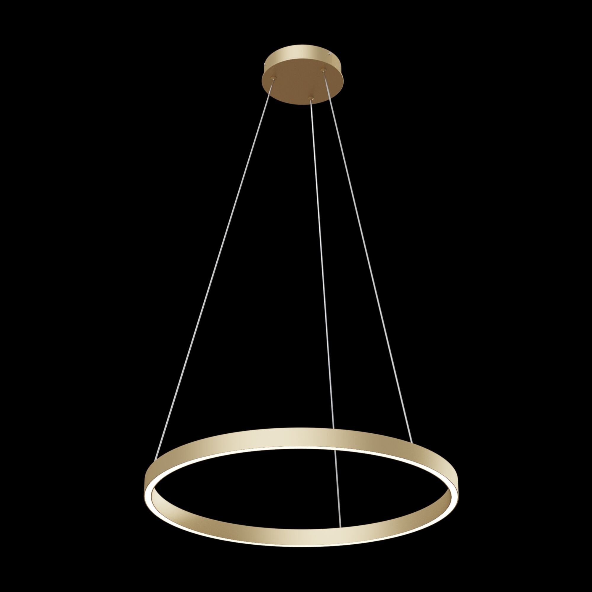 Technical Rim Brass Pendant Lamp