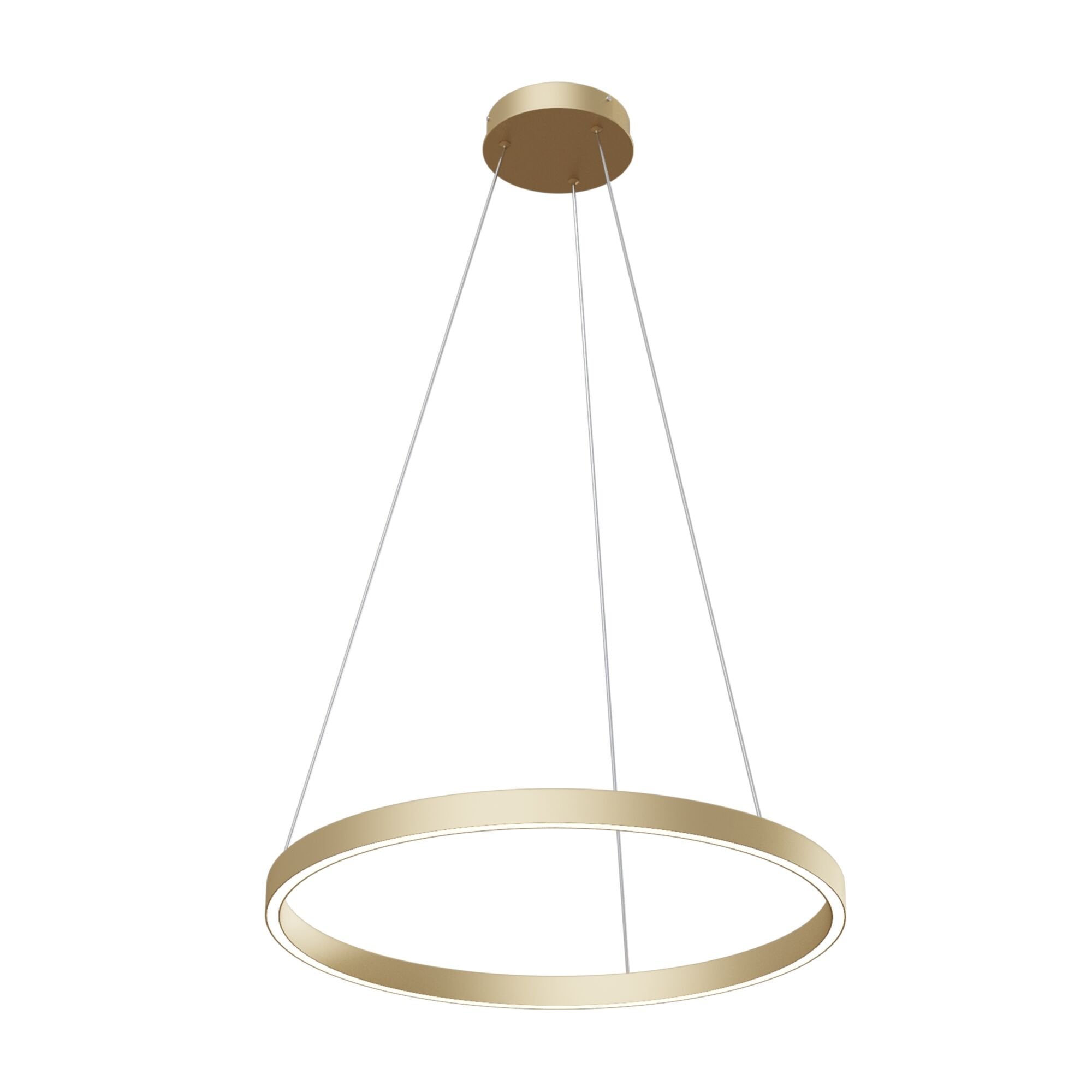 Technical Rim Brass Pendant Lamp