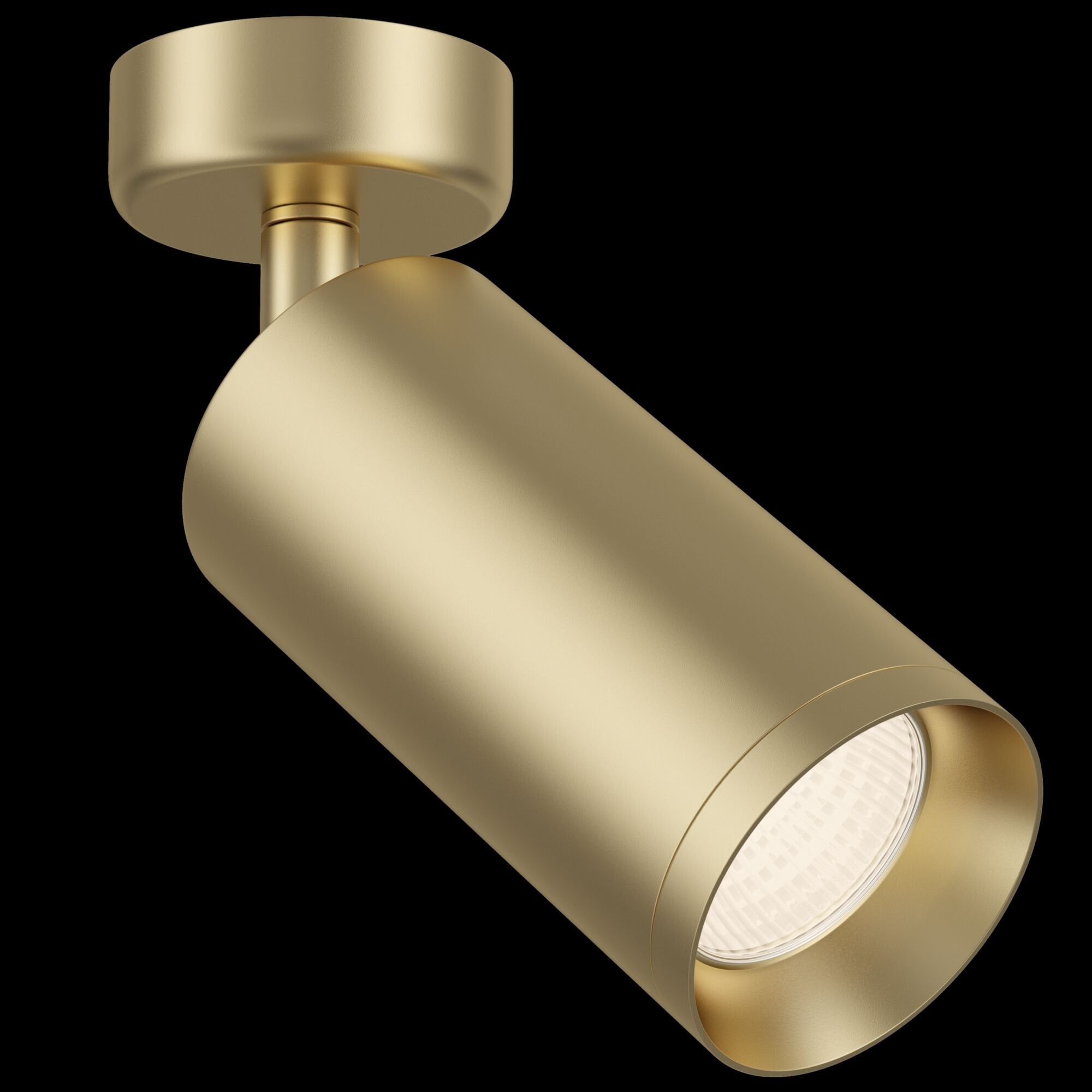 Ceiling & Wall Focus Matt Gold  Ceiling Lamp