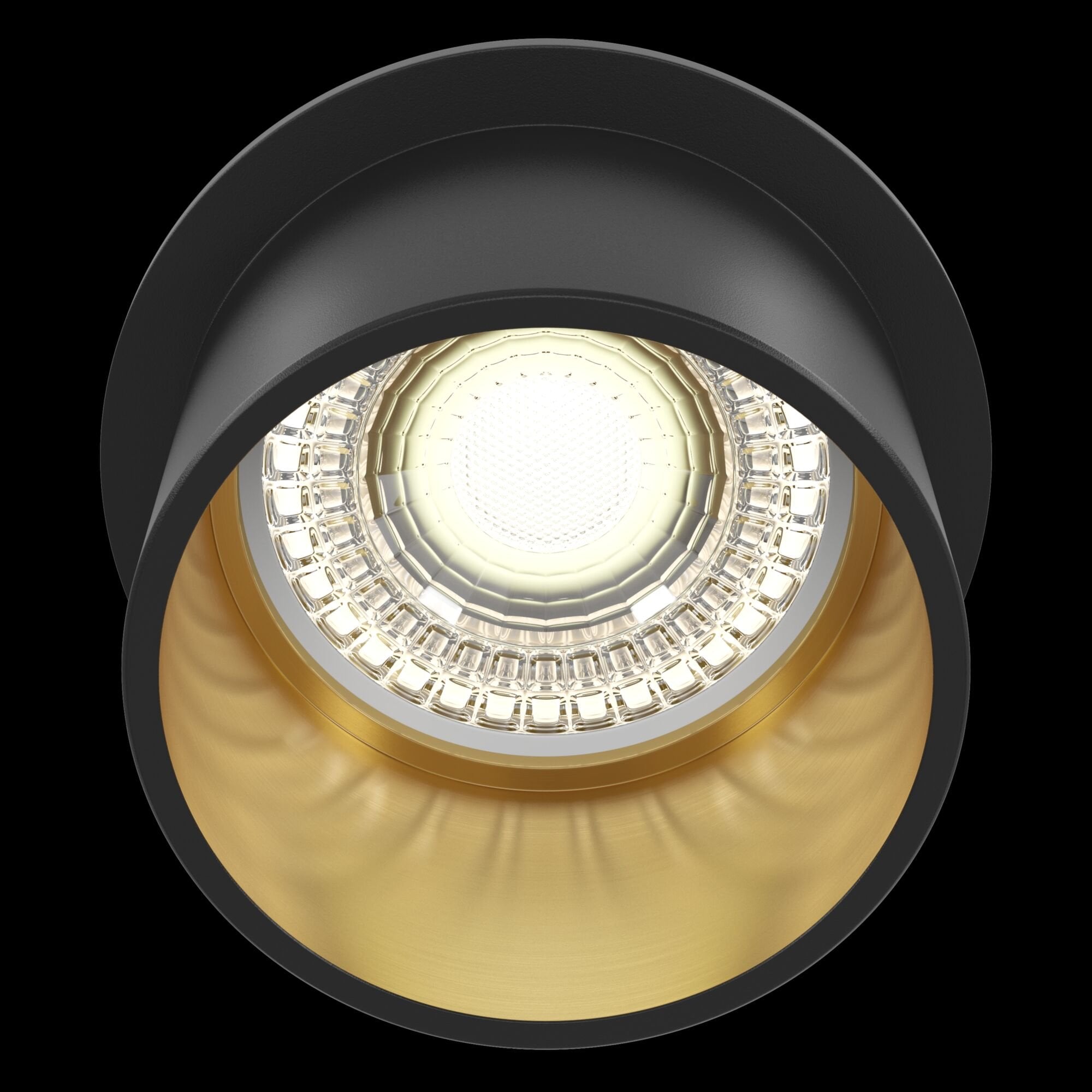 Downlight Reif Black with Gold Downlight