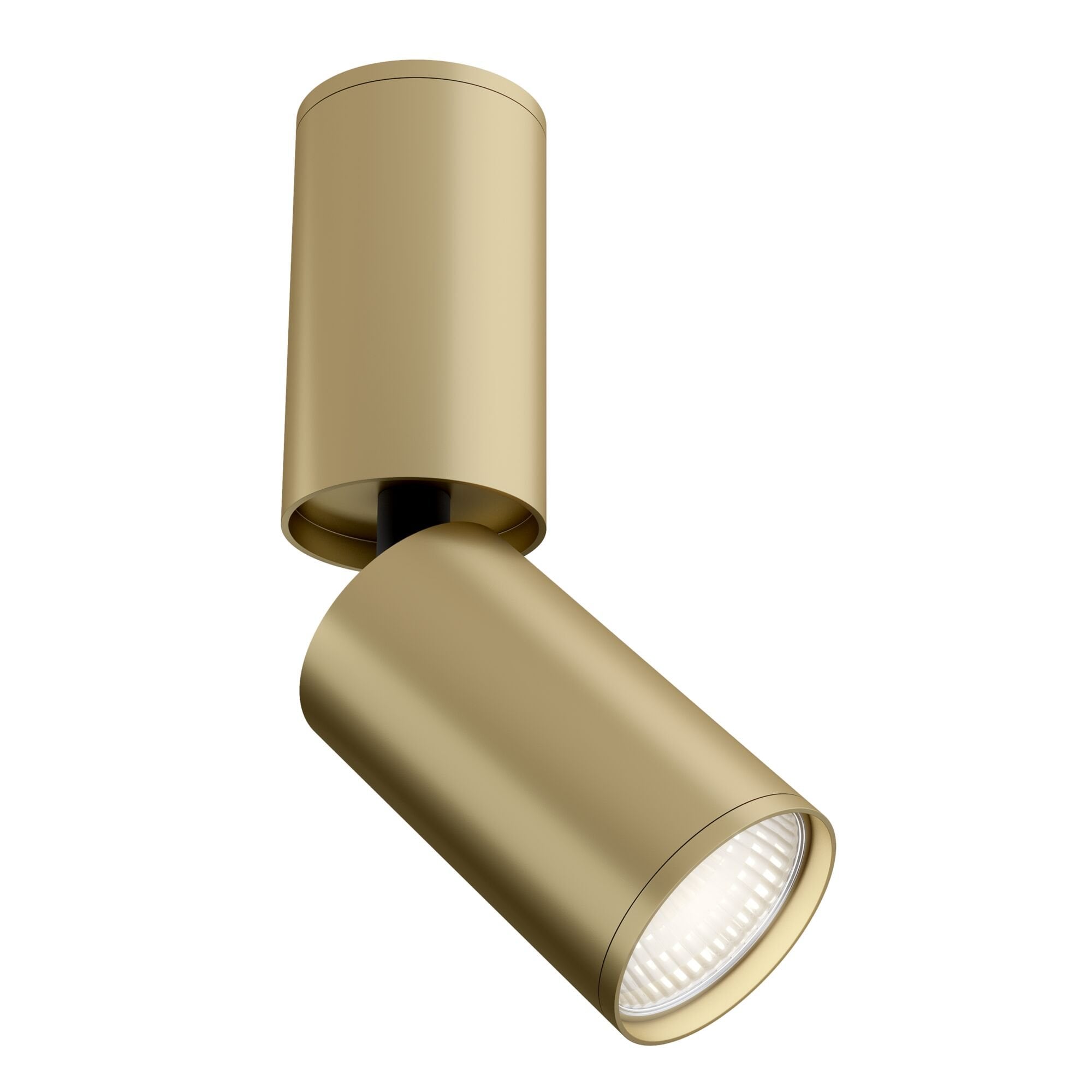 Ceiling & Wall FOCUS S Mint Gold Ceiling Lamp