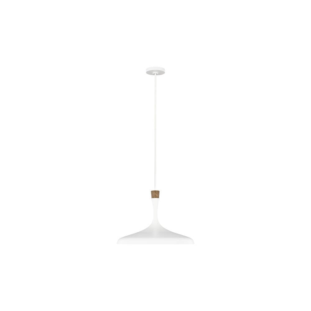 Darwin 1 Light Pendant - Matte White