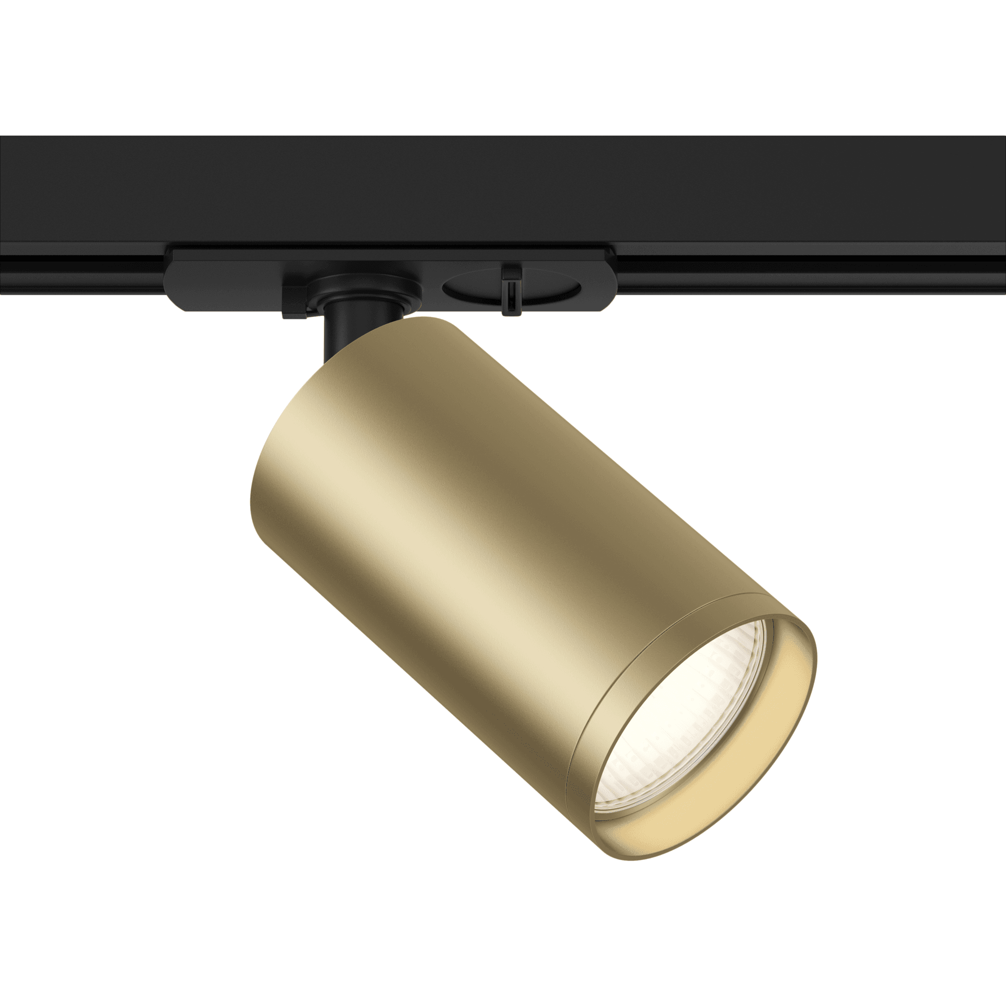 1 phase track system UNITY Focus S Track Lighting - Black and matt gold