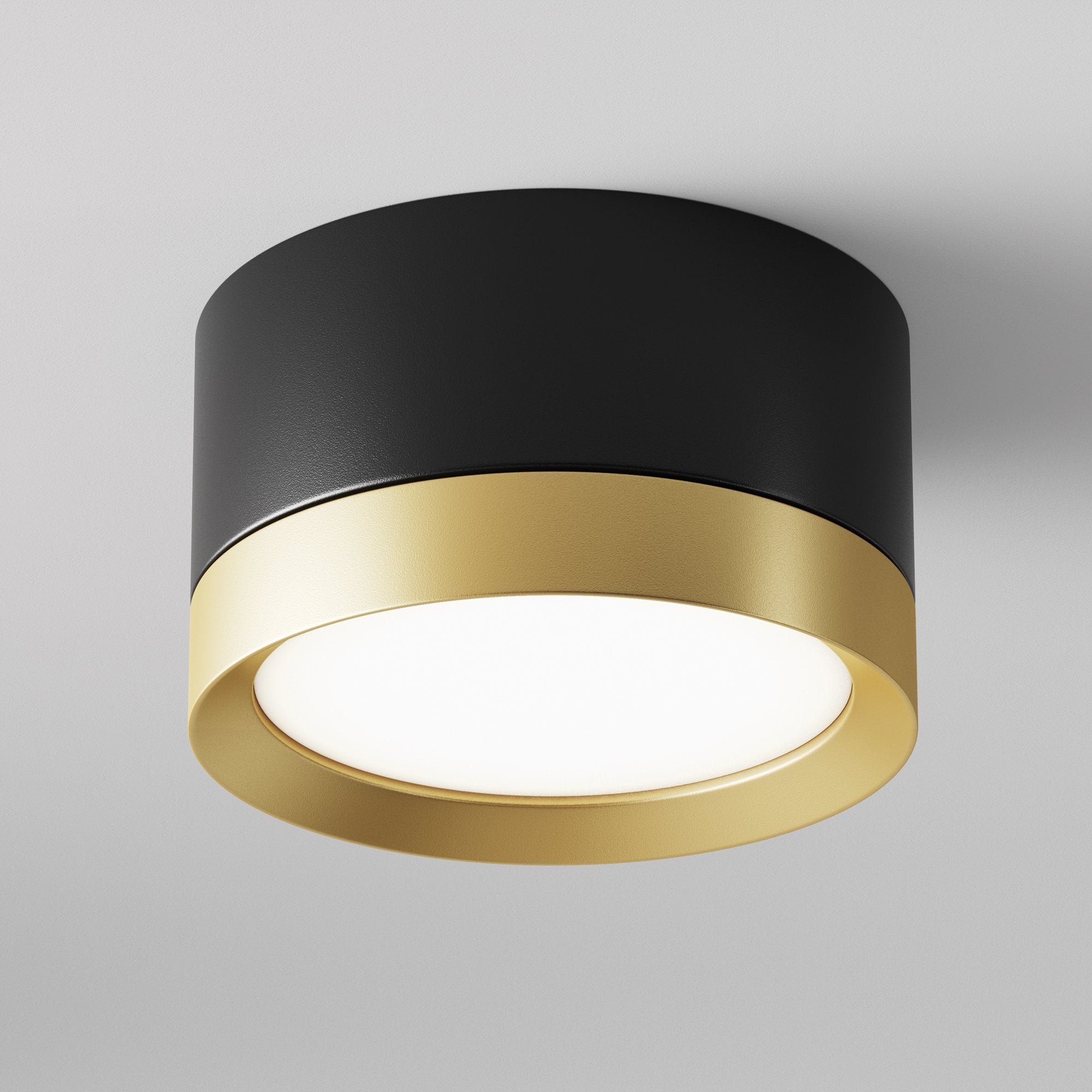 Ceiling & Wall Hoop Ceiling Lamp - Black with Gold