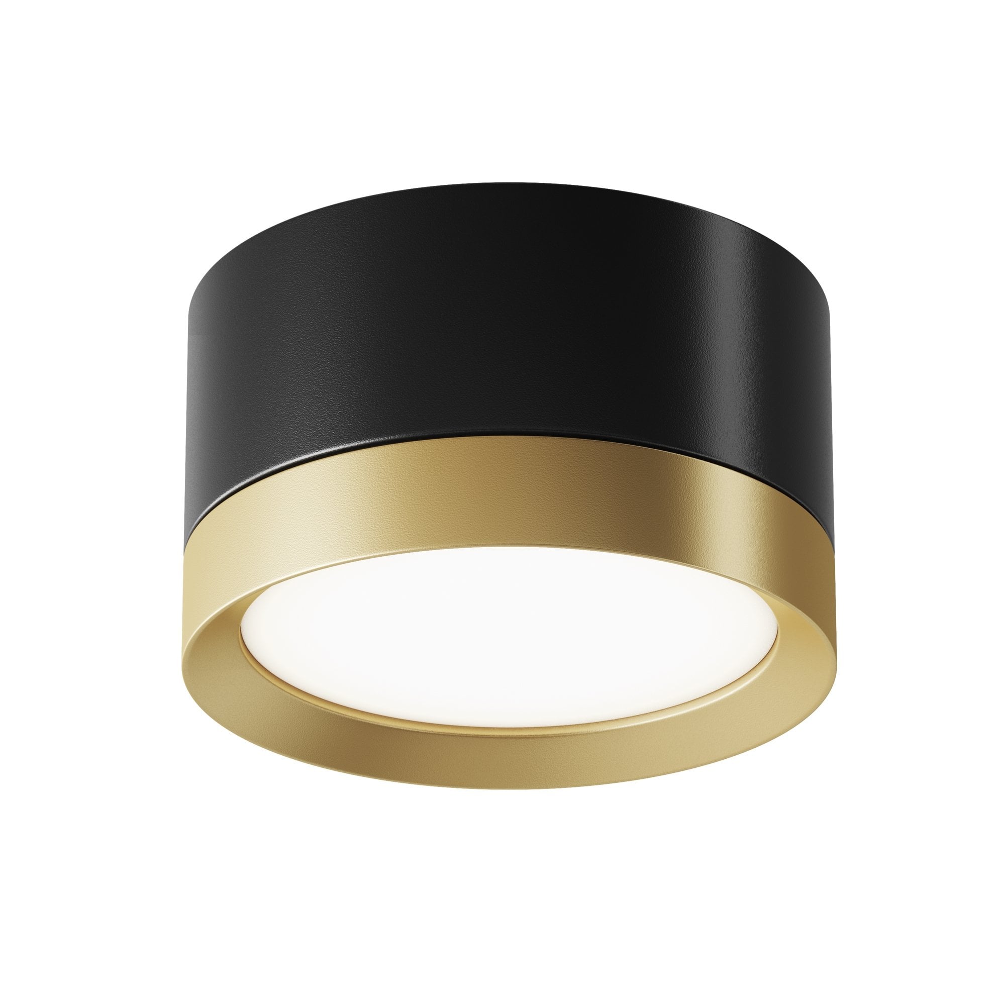 Ceiling & Wall Hoop Ceiling Lamp - Black with Gold