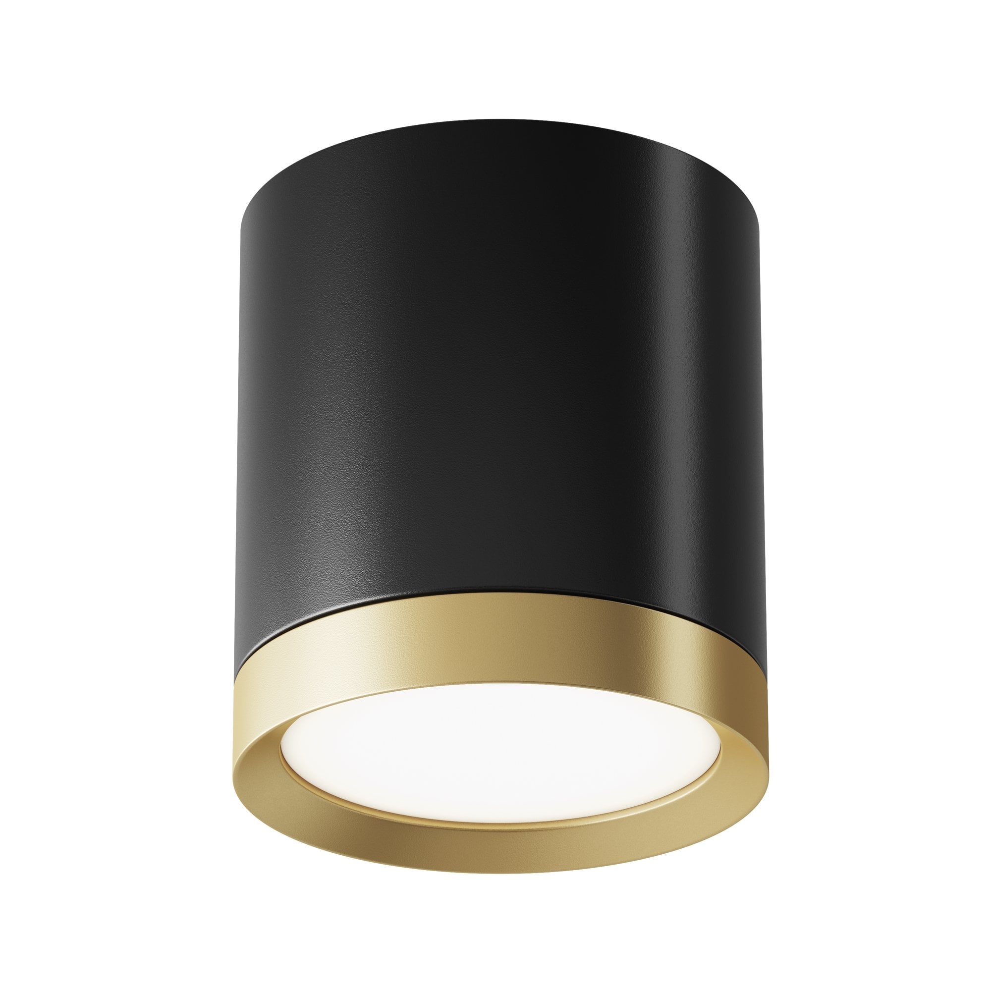 Ceiling & Wall Hoop Ceiling Lamp - Black with Gold