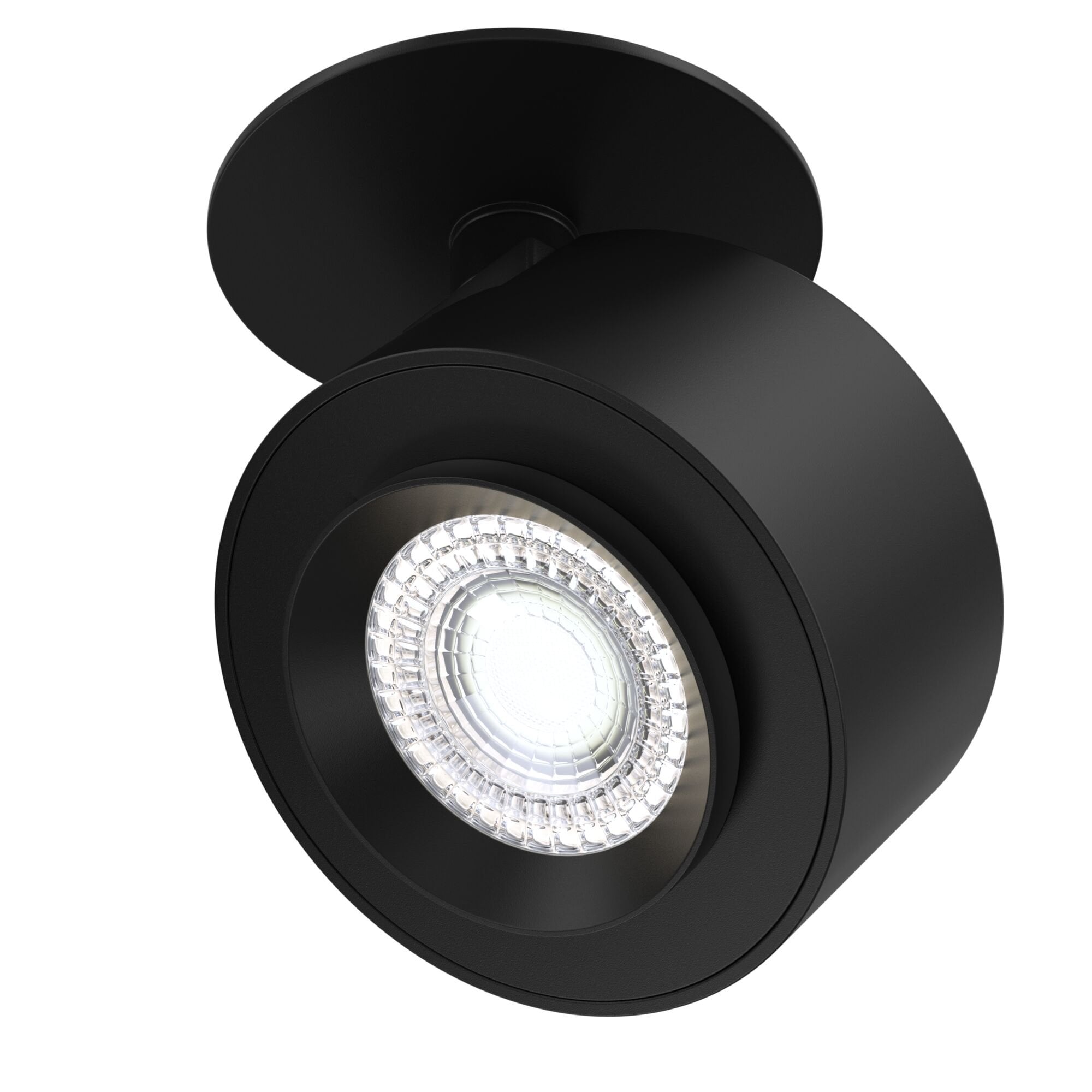 Ceiling & Wall Treo Ceiling Lamp - Black