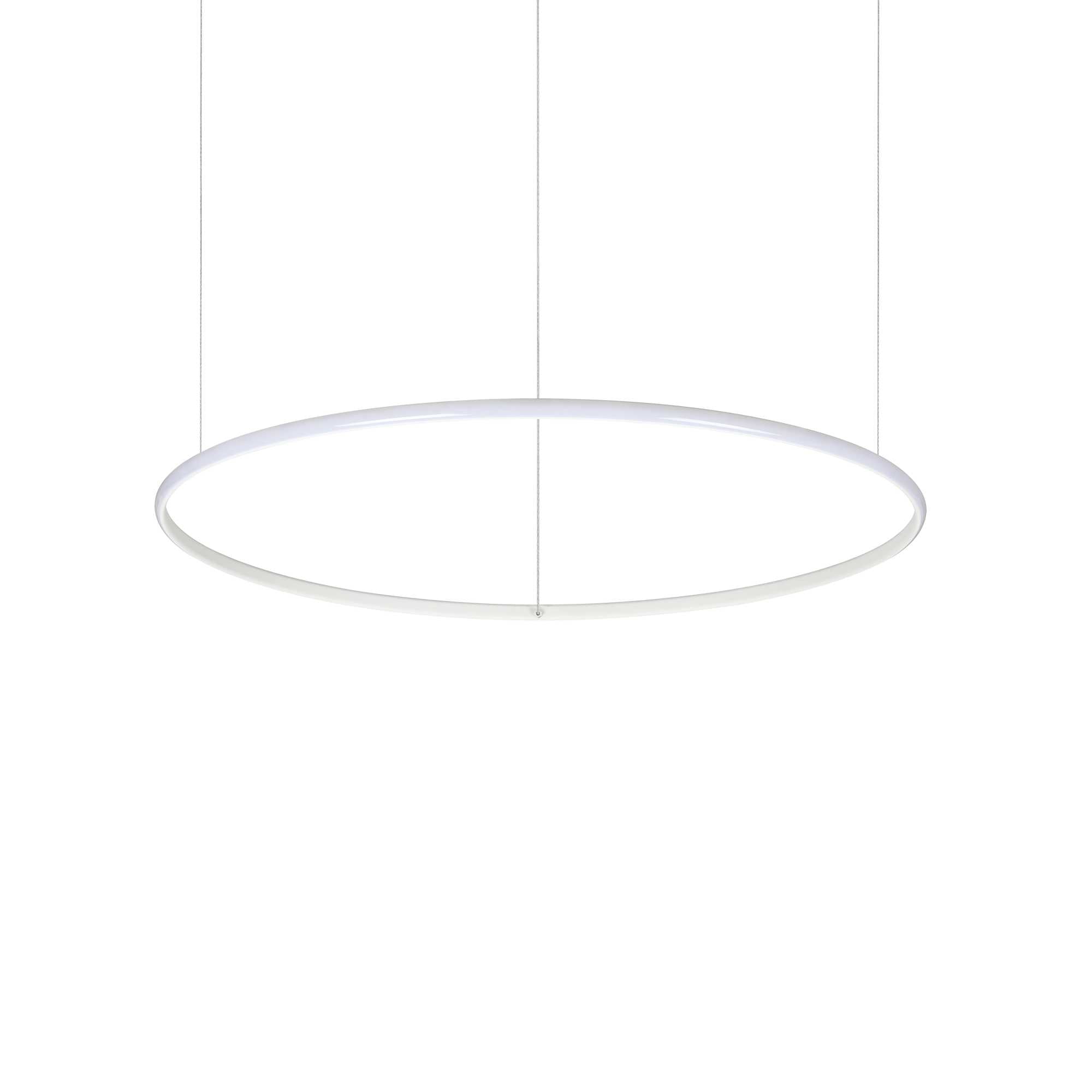 HULAHOOP Pendant Light D081